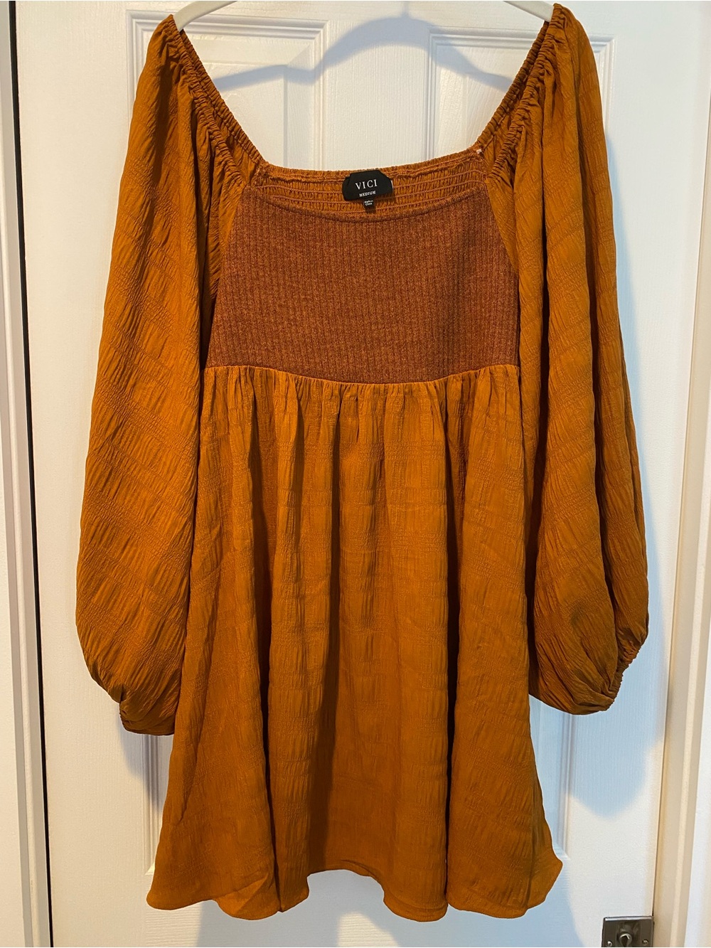 VICI Rust Balloon Sleeve Smocked Mini Dress